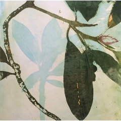 Fine Leaf