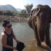 Sara Dipity's photo