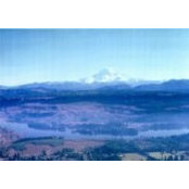 Bill Pickard's photo