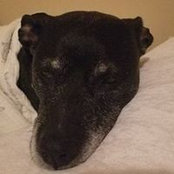 Joe Mac's photo