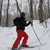 Dave Innis's photo