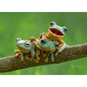 Sue Maluskys foto