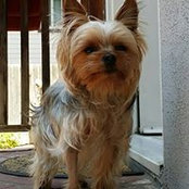 Photo de Hanki Home
