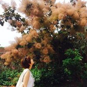 山本彩可s billede