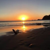 Cindy Dyck's photo