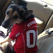 Zach Biggs's photo