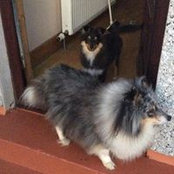 Foto von Sylvia Eddie