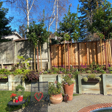Poolside Privacy One Year Later!