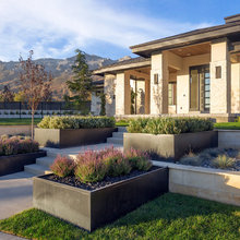 Planter Landscape