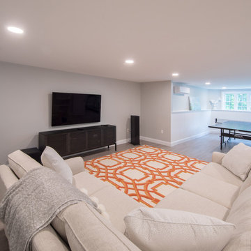 2019 Traditional Basement Entertainment Remodel
