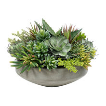 Plants