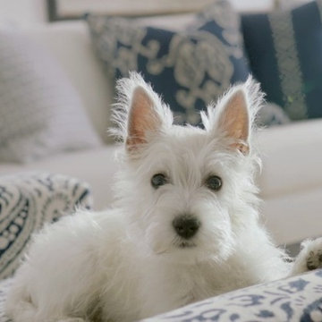 ETHAN ALLEN :: Coastal Elegance