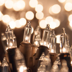Clear Mini Lights on Brown Wire - Novelty Lighting