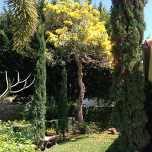 gardens