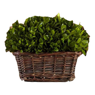 Medium Preserved Boxwood Hedge, Basket - Tropical - Artificial Plants And  Trees - by The Grey Antler