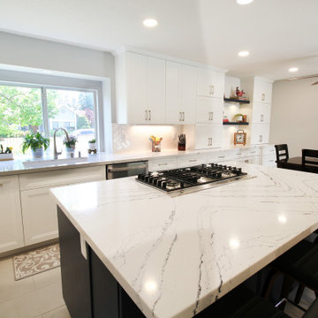 Contemporary Stunning Kitchen Remodel in Fair Oaks