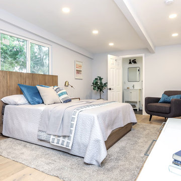Teal Aqua Blue Bedroom with Dark Gray and Fiddle Leaf Fig