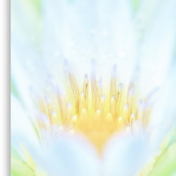 Canvas prints - "Pastel Lilly" - Photographs
