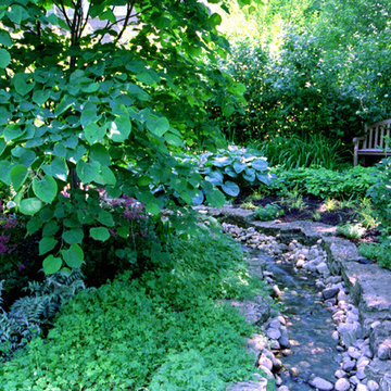 Dry Creeks And Drainage