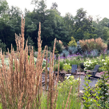 Calamagrostis provides scrim