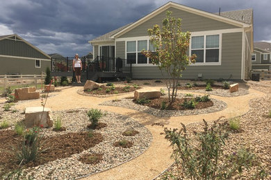 This is an example of a transitional garden in Denver.
