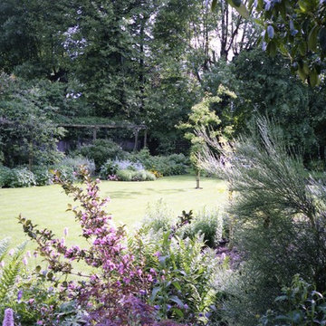 Remodelling an established garden
