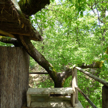LA CASA SULL' ALBERO