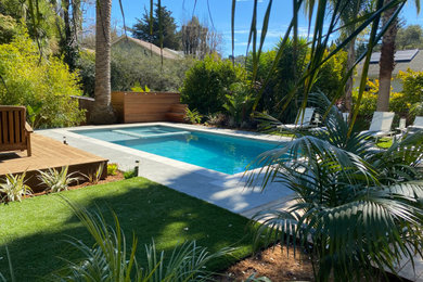 Trendy pool photo in San Francisco