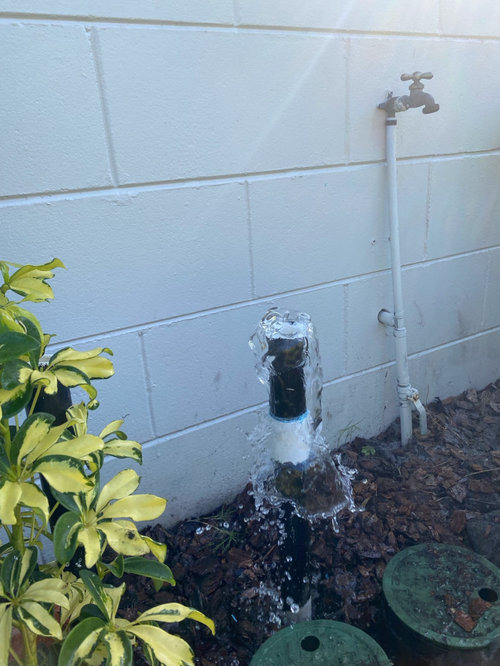 sprinkler heads not popping up