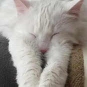 Leslie Morgan's photo