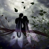 Sharon Tyler's photo
