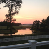 Kathleen Walsh's photo