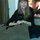 lynne_phillips