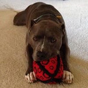 Keith Mueller's photo