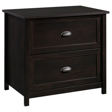 Sauder County Line Engineered Wood 2-Drawer Lateral File Cabinet in Estate Black