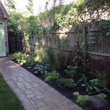 These plants were all transplanted from the front yard to this newly created bed