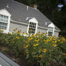 Roof Top Gardens