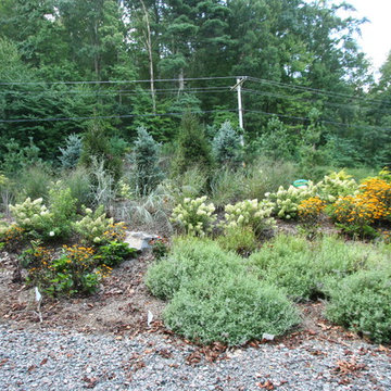 Watauga Lake Firepit & Berm