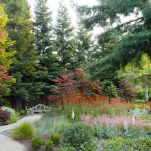 Garden Ideas