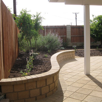 Drought Tolerant Back Yard Garden