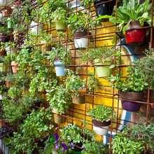 greenhouses/solariums