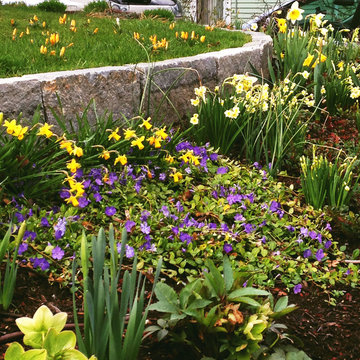 Seasonal transformations - Spring flower detail
