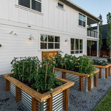 My Veggie Garden