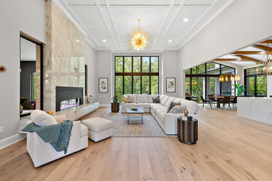 Example of a living room design in Detroit