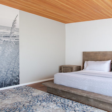 Palisades Contemporary master