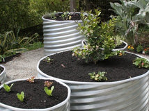 Container Gardening Basics: The Dirt on Soil