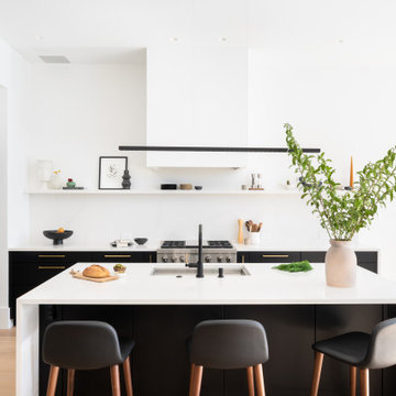 Ultra Sleek Kitchen on the Hill