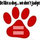 donna_schuster