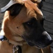 Kyrie Fabert's photo