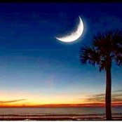 Lisa Cook Lowden's photo